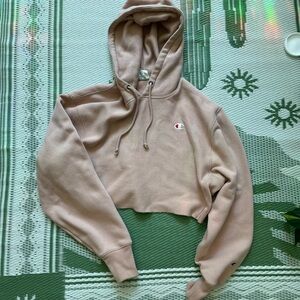 Champion hoodie